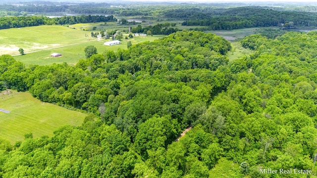 V/L Lammers Rd, Delton, MI 49046