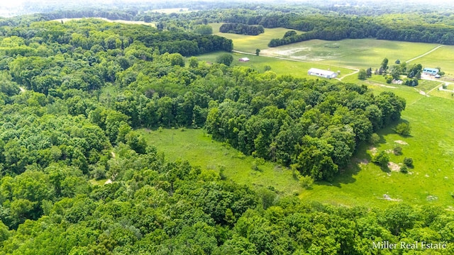 V/L Lammers Rd, Delton, MI 49046