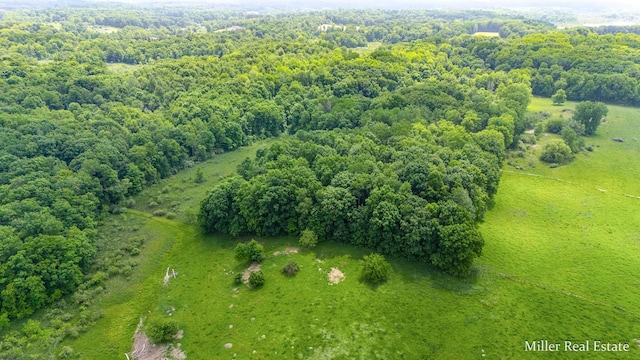 V/L Lammers Rd, Delton, MI 49046