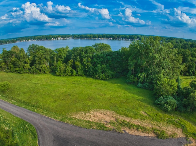 0 Pearl Bch Lot A, Coldwater, MI 49036