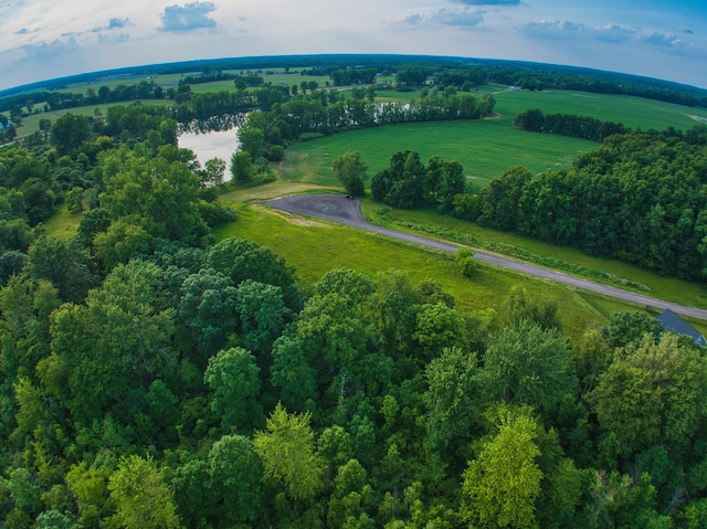 0 Pearl Bch Lot A, Coldwater, MI 49036