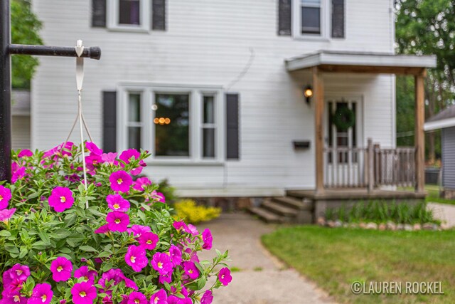 409 Rust Ave, Big Rapids, MI 49307 - view of front of home