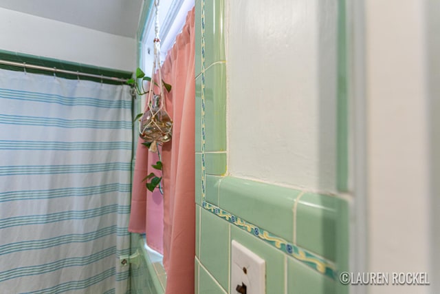 409 Rust Ave, Big Rapids, MI 49307 - full bathroom with shower / bath combo with shower curtain