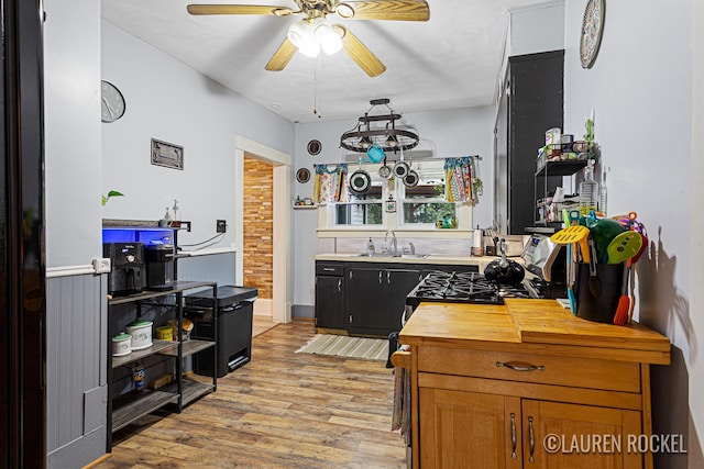 409 Rust Ave, Big Rapids, MI 49307 - kitchen with light wood-style floors, wood counters, ceiling fan, and a wainscoted wall