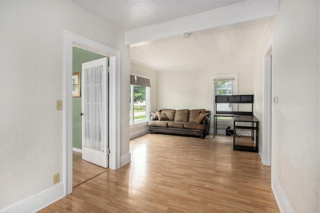 255 E Corey St, Bronson, MI 49028 - living room featuring light wood-style flooring and baseboards