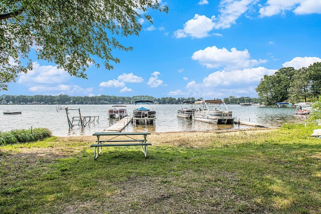 50041 David Dr, Dowagiac, MI 49047 - dock with a water view and a lawn