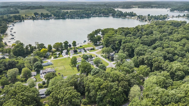 50041 David Dr, Dowagiac, MI 49047 - aerial view of property's location with a nearby body of water and a heavily wooded area