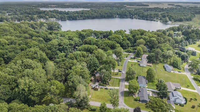 50041 David Dr, Dowagiac, MI 49047 - view of property location featuring a large body of water