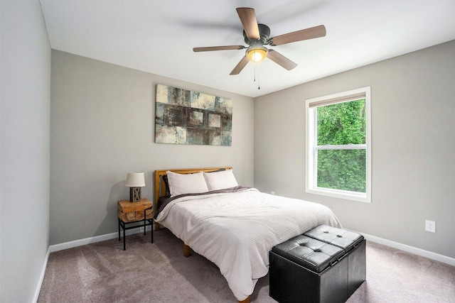 3935 Riley Rdg, Portage, MI 49024 - bedroom with carpet floors and a ceiling fan
