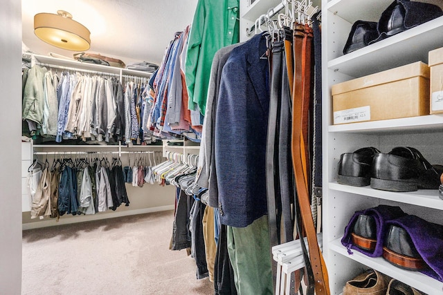 3935 Riley Rdg, Portage, MI 49024 - spacious closet with carpet