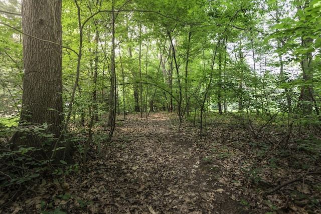 7715 Marquis Dr, Dexter, MI 48130 - view of tree filled area
