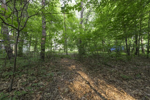 7715 Marquis Dr, Dexter, MI 48130 - view of tree filled area