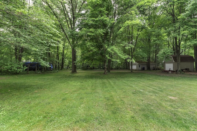 7715 Marquis Dr, Dexter, MI 48130 - view of green lawn featuring a garage, a shed, and a forest view