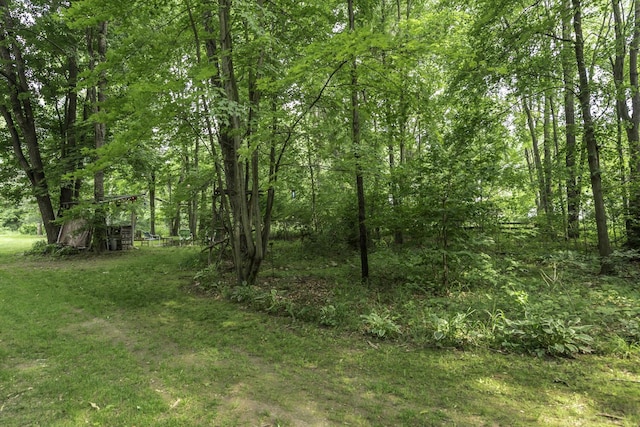 7715 Marquis Dr, Dexter, MI 48130 - view of wooded area