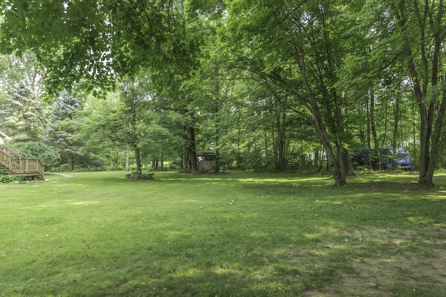 7715 Marquis Dr, Dexter, MI 48130 - view of grassy yard