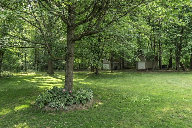 7715 Marquis Dr, Dexter, MI 48130 - view of green lawn featuring a storage unit, a garage, and a view of trees