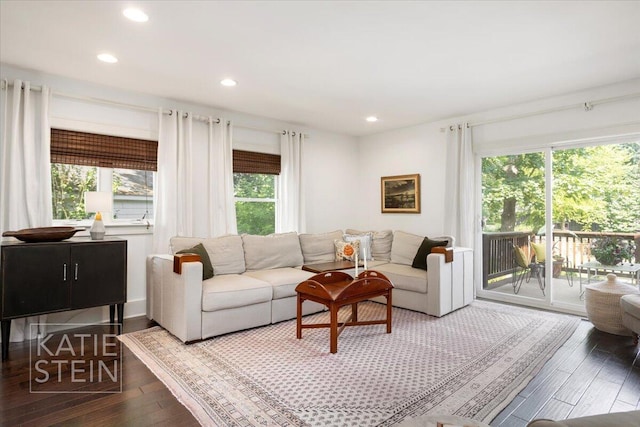 859 Orchard Ave SE, East Grand Rapids, MI 49506 - living area with hardwood / wood-style floors and recessed lighting