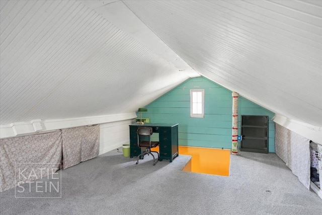 859 Orchard Ave SE, East Grand Rapids, MI 49506 - unfurnished office with lofted ceiling, carpet floors, and wooden walls