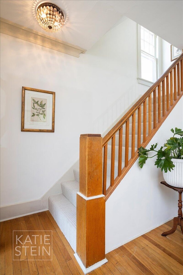 859 Orchard Ave SE, East Grand Rapids, MI 49506 - stairs with hardwood / wood-style flooring and a chandelier