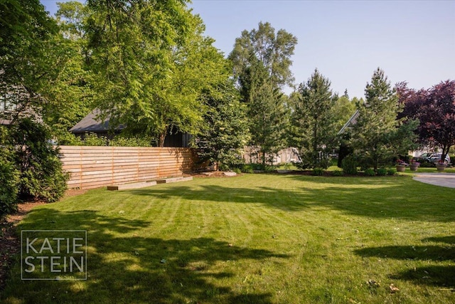 859 Orchard Ave SE, East Grand Rapids, MI 49506 - view of yard
