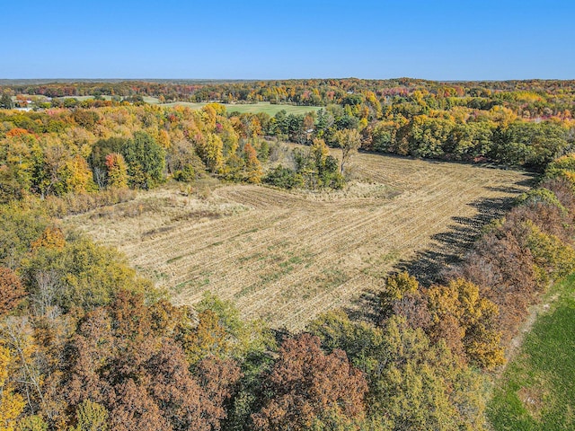 V/L Biddle Rd, Hastings, MI 49058