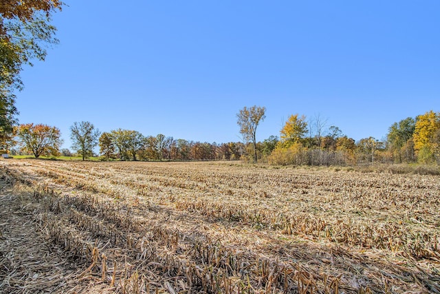 V/L Biddle Rd, Hastings, MI 49058