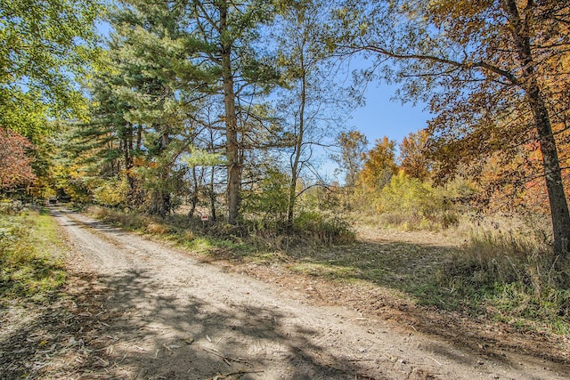 V/L Biddle Rd, Hastings, MI 49058