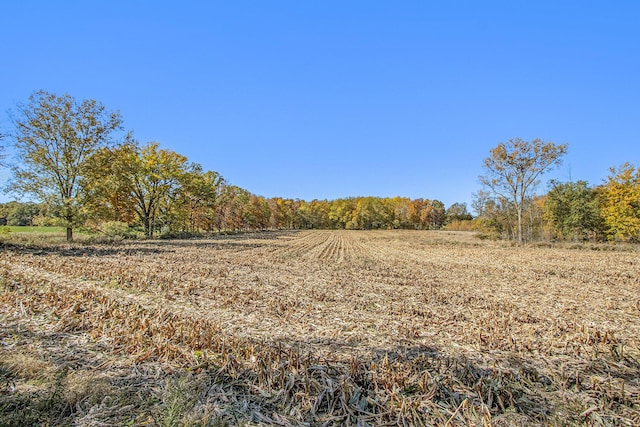 V/L Biddle Rd, Hastings, MI 49058