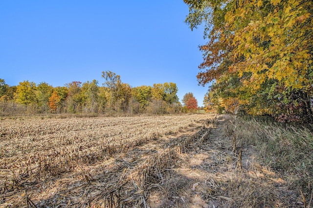 V/L Biddle Rd, Hastings, MI 49058