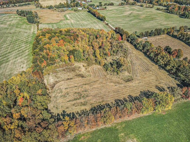 V/L Biddle Rd, Hastings, MI 49058