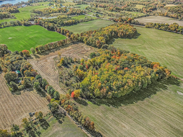 V/L Biddle Rd, Hastings, MI 49058