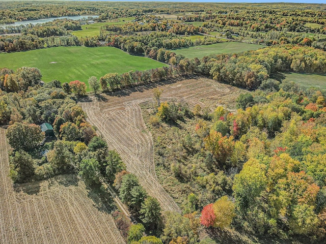 V/L Biddle Rd, Hastings, MI 49058