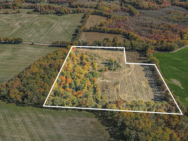 V/L Biddle Rd, Hastings, MI 49058