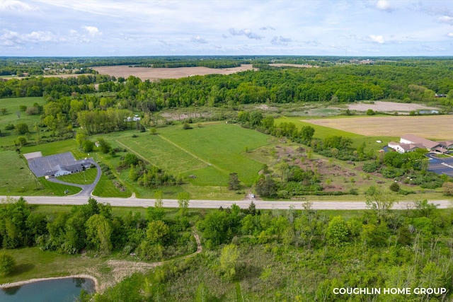 V/L E M-79 Hwy, Nashville, MI 49073 - photo 1