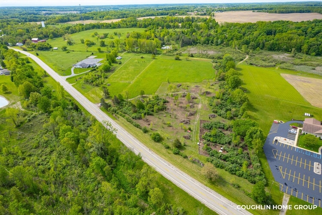 V/L E M-79 Hwy, Nashville, MI 49073 - photo 4