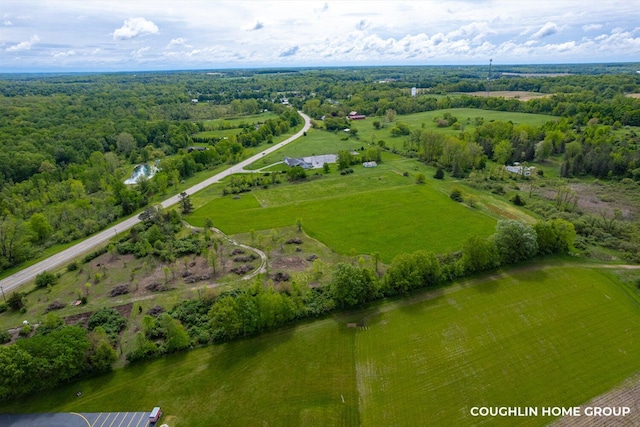 V/L E M-79 Hwy, Nashville, MI 49073 - photo 7