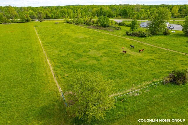 V/L E M-79 Hwy, Nashville, MI 49073 - photo 11
