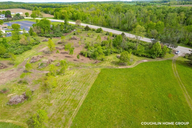V/L E M-79 Hwy, Nashville, MI 49073 - photo 13