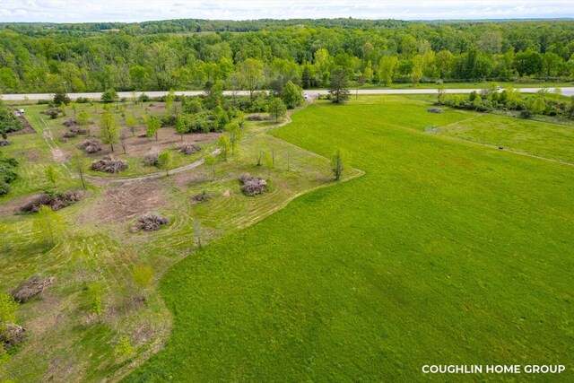 V/L E M-79 Hwy, Nashville, MI 49073 - photo 14