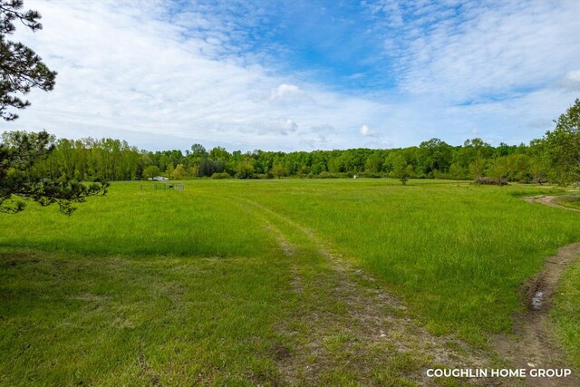 V/L E M-79 Hwy, Nashville, MI 49073 - photo 16