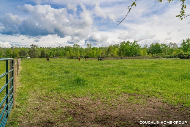 V/L E M-79 Hwy, Nashville, MI 49073 - photo 27