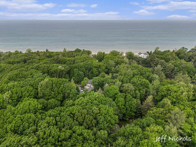 534 N Lighthouse Dr, Mears, MI 49436 - photo 26