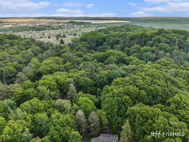 534 N Lighthouse Dr, Mears, MI 49436 - photo 27
