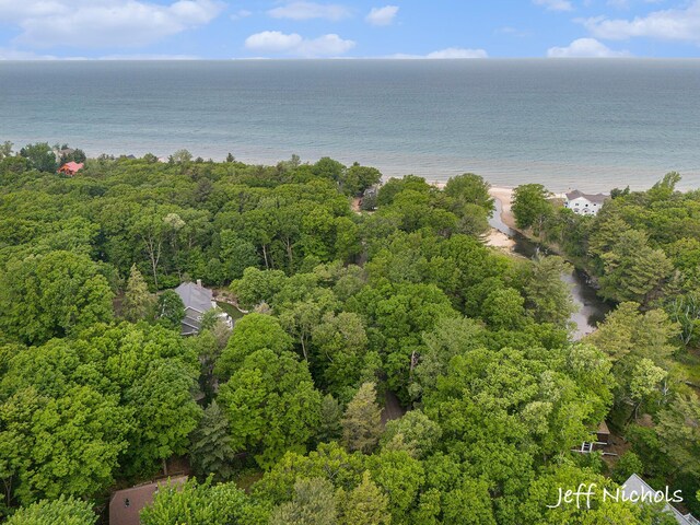 534 N Lighthouse Dr, Mears, MI 49436 - photo 29