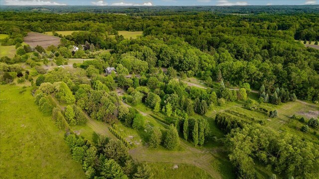 19750 S Lakeside Rd, New Buffalo, MI 49117 - photo 10