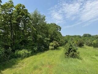 19750 S Lakeside Rd, New Buffalo, MI 49117 - photo 17
