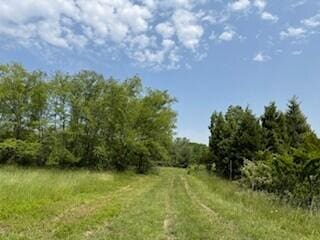 19750 S Lakeside Rd, New Buffalo, MI 49117 - photo 21