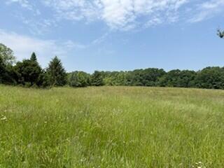 19750 S Lakeside Rd, New Buffalo, MI 49117 - photo 22