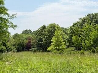 19750 S Lakeside Rd, New Buffalo, MI 49117 - photo 23