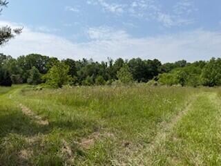 19750 S Lakeside Rd, New Buffalo, MI 49117 - photo 24